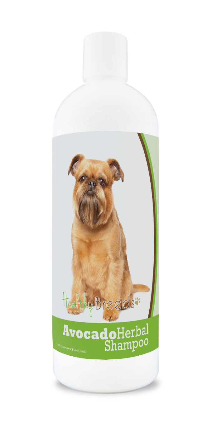 Brussels Griffon Avocado Herbal Dog Shampoo 16 oz