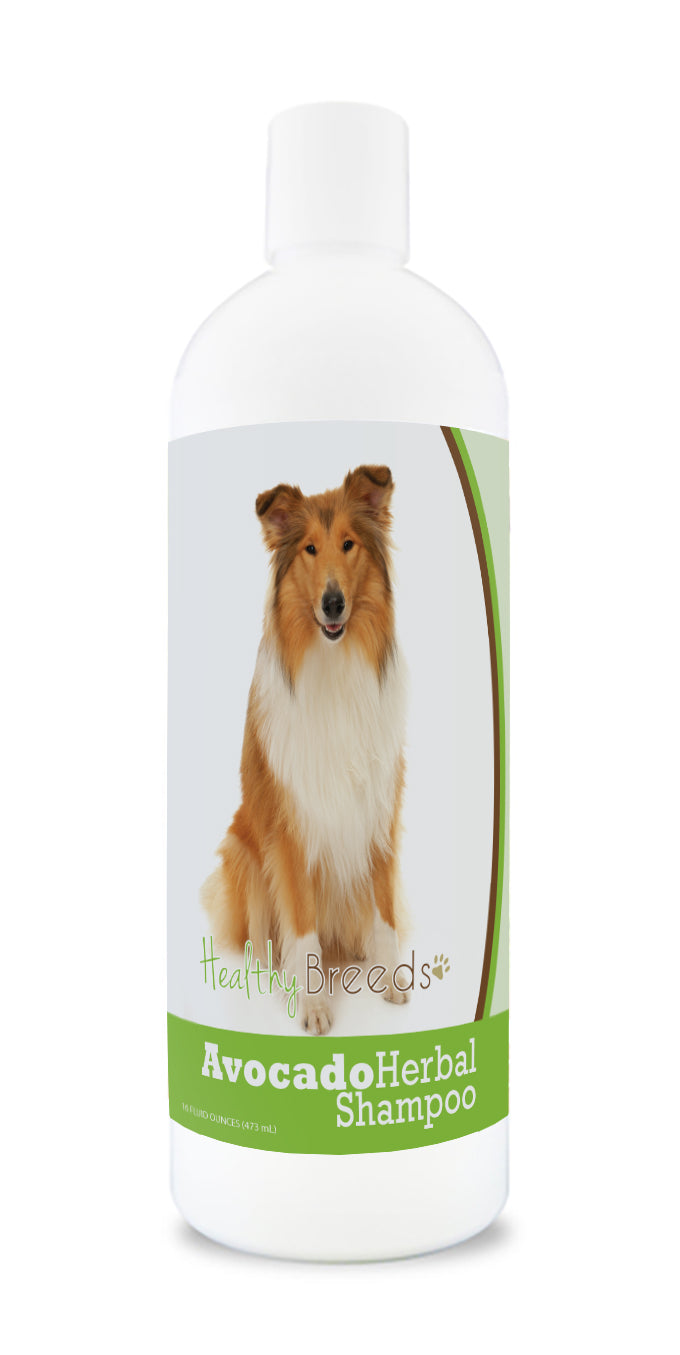 Collie Avocado Herbal Dog Shampoo 16 oz