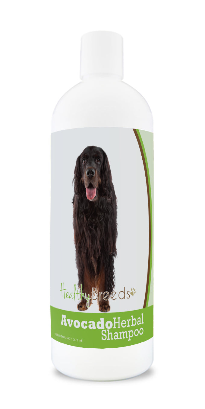 Gordon Setter Avocado Herbal Dog Shampoo 16 oz