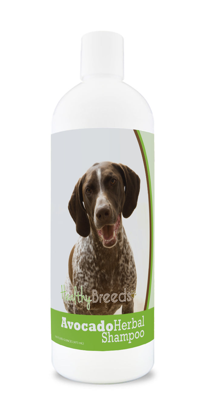 German Shorthaired Pointer Avocado Herbal Dog Shampoo 16 oz