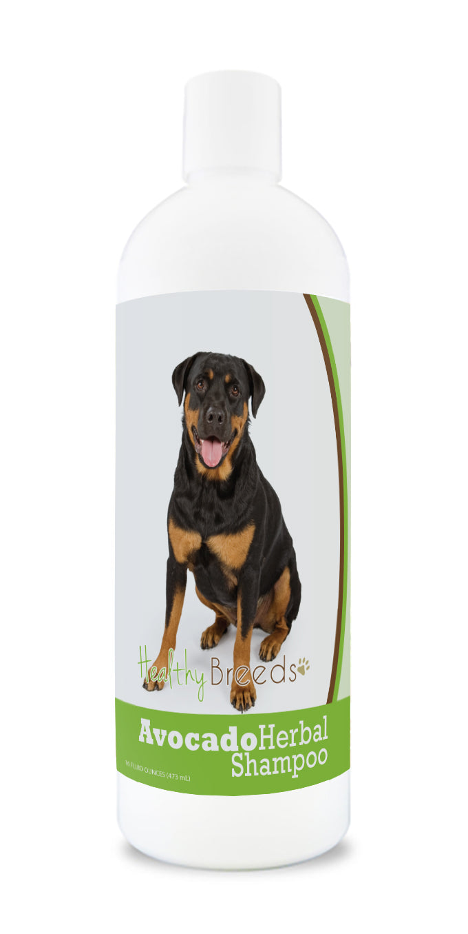 Rottweiler Avocado Herbal Dog Shampoo 16 oz