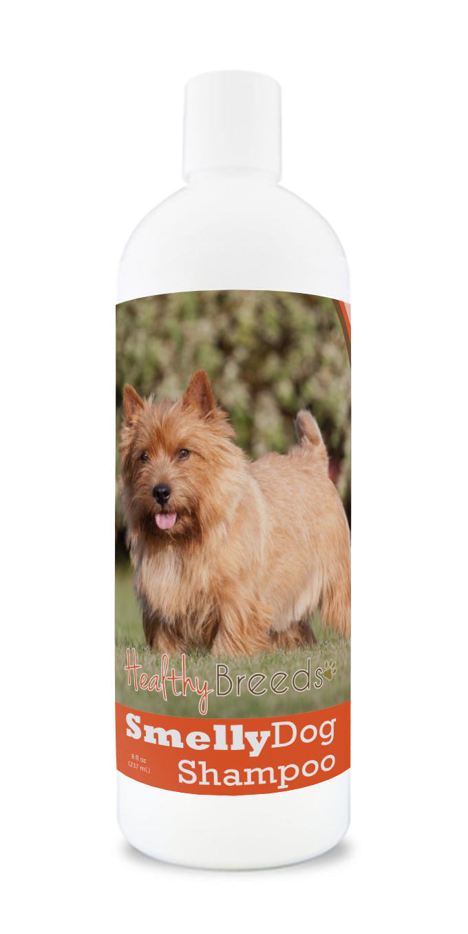 Norwich Terrier Smelly Dog Baking Soda Shampoo 8 oz