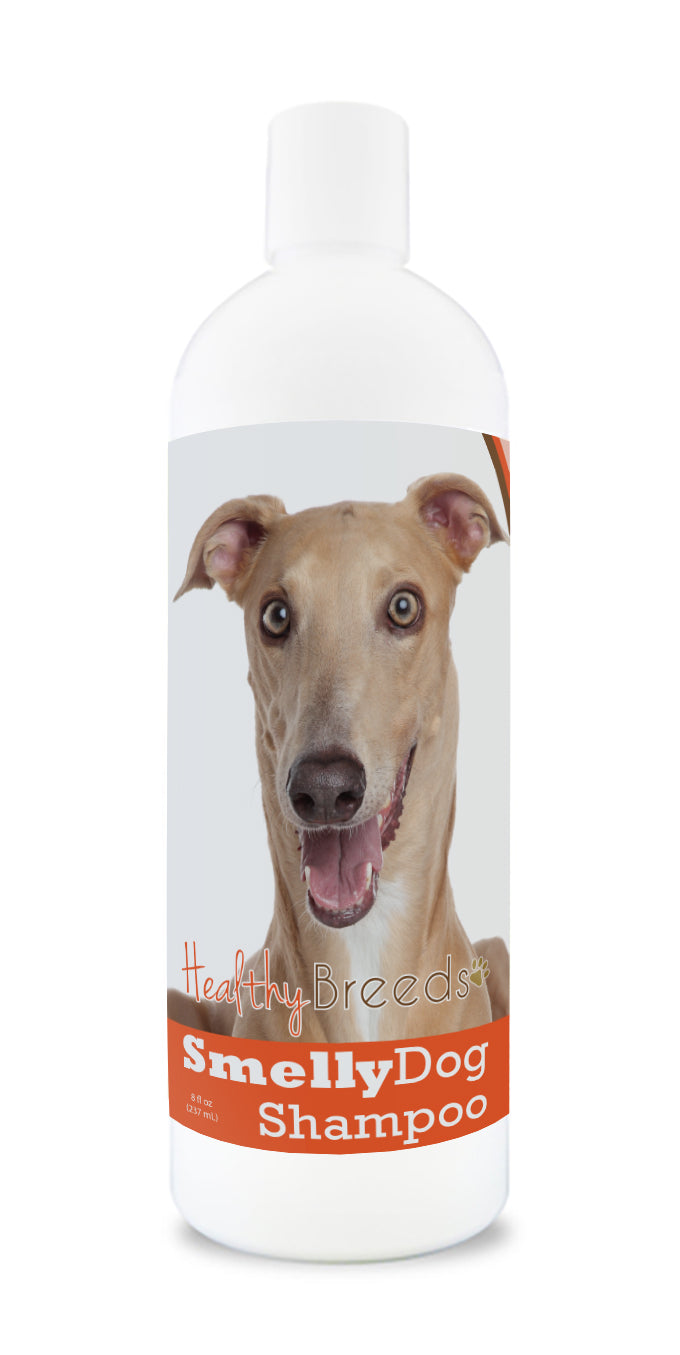 Italian Greyhound Smelly Dog Baking Soda Shampoo 8 oz