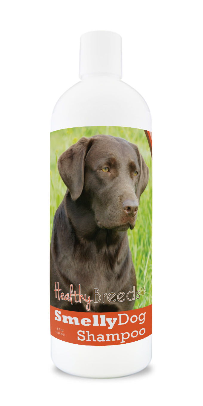 Labrador Retriever Smelly Dog Baking Soda Shampoo 8 oz