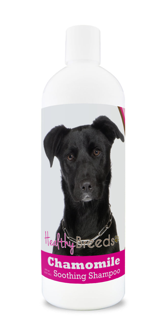 Mutt Chamomile Soothing Dog Shampoo 8 oz