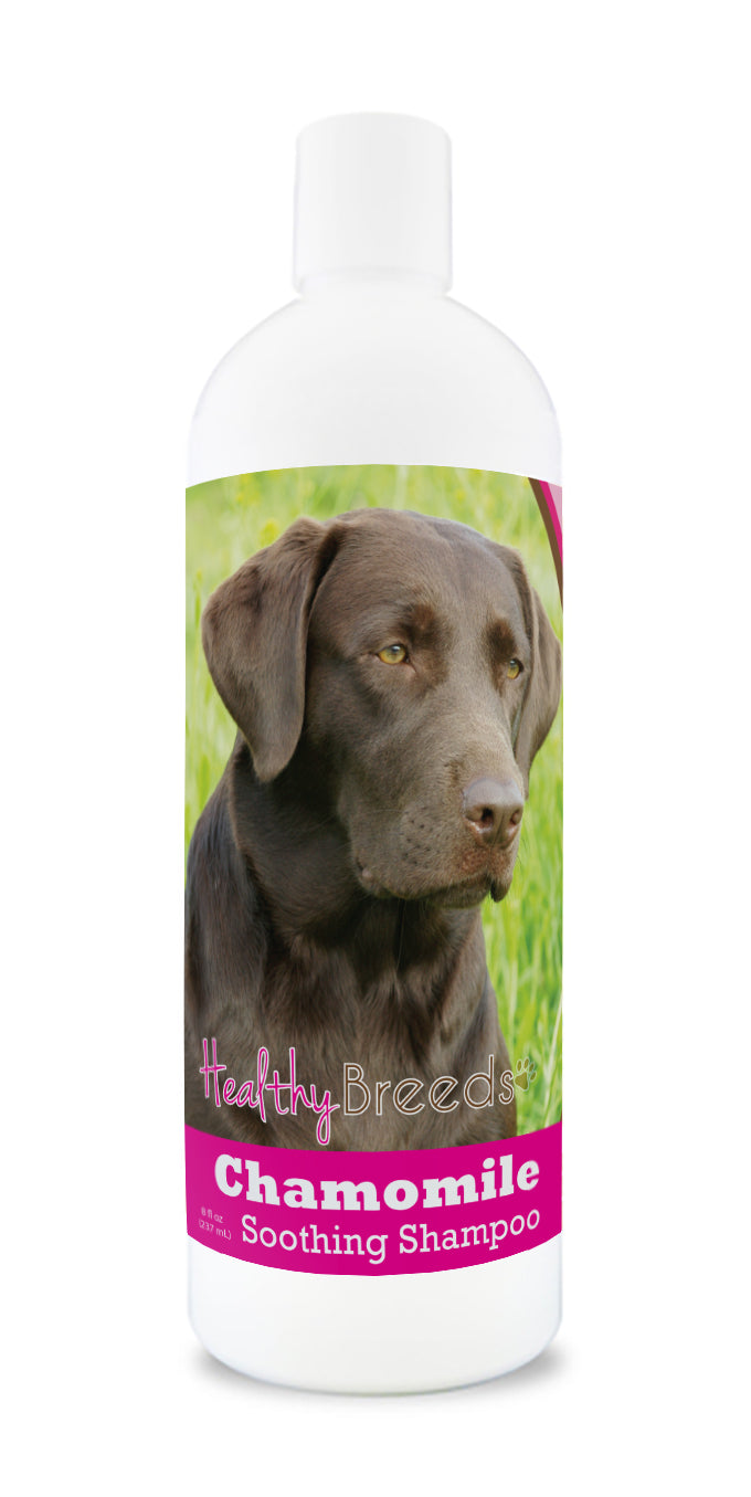 Labrador Retriever Chamomile Soothing Dog Shampoo 8 oz