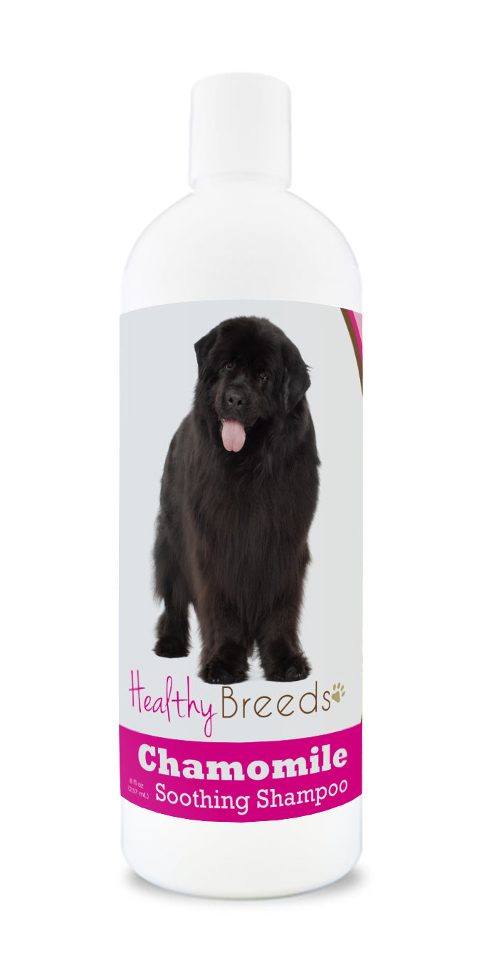 Newfoundland Chamomile Soothing Dog Shampoo 8 oz