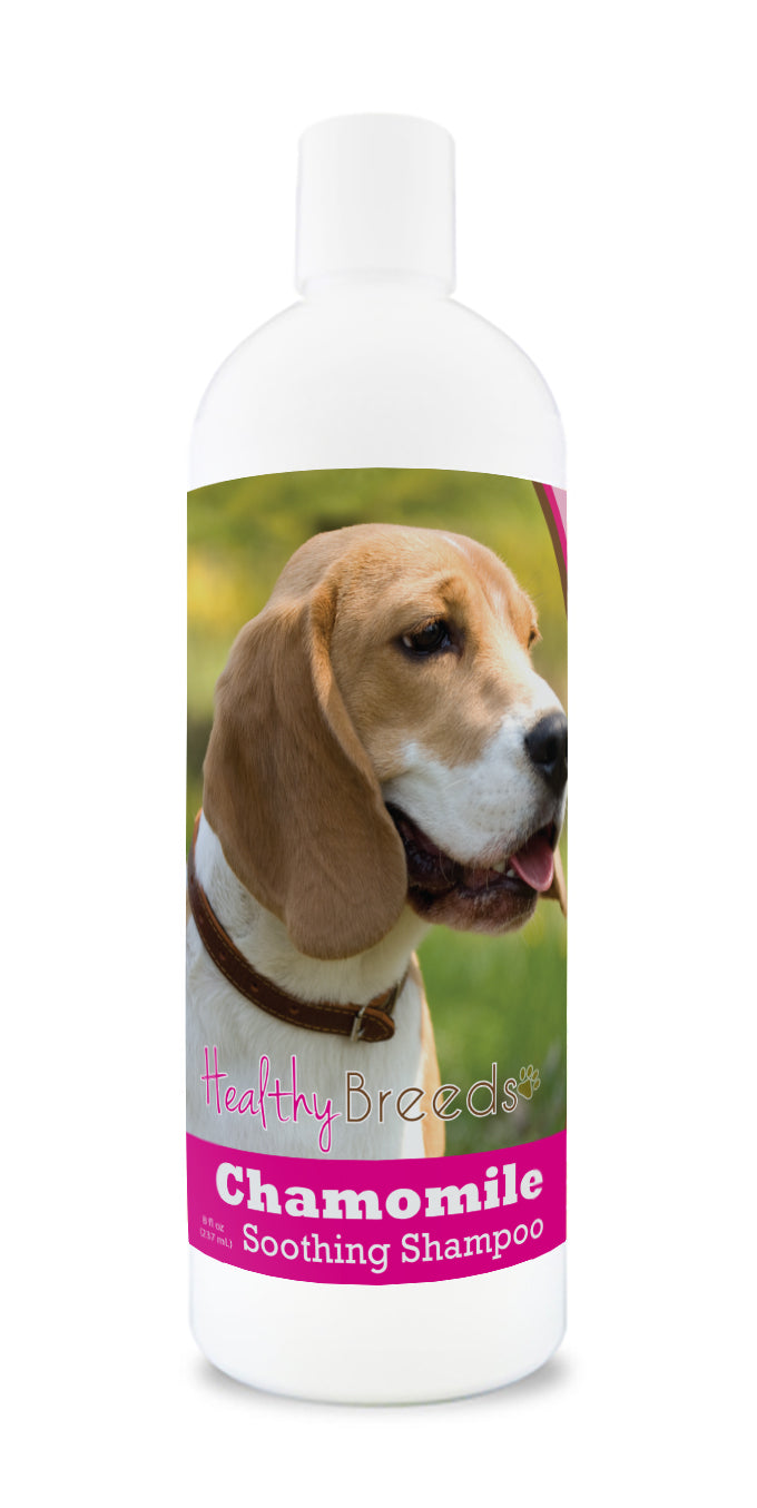 Beagle Chamomile Soothing Dog Shampoo 8 oz
