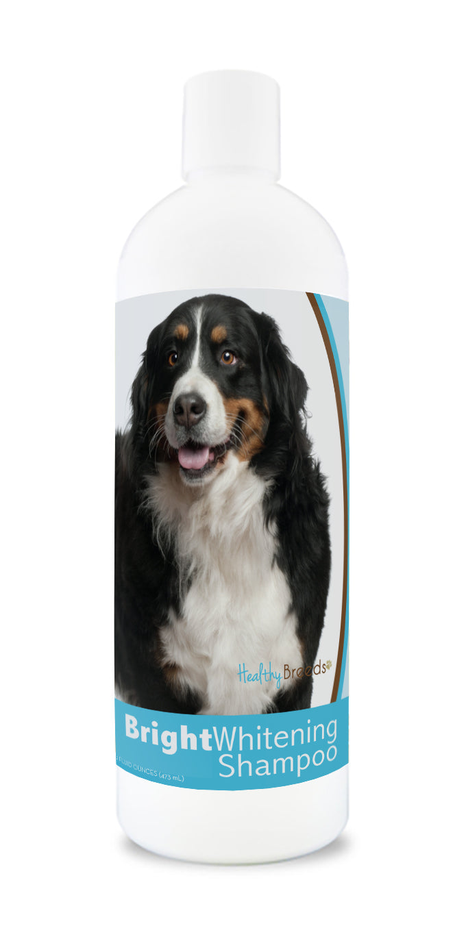 Best Shampoo for Bernese Mountain Dog: Top Picks for Shiny Coats