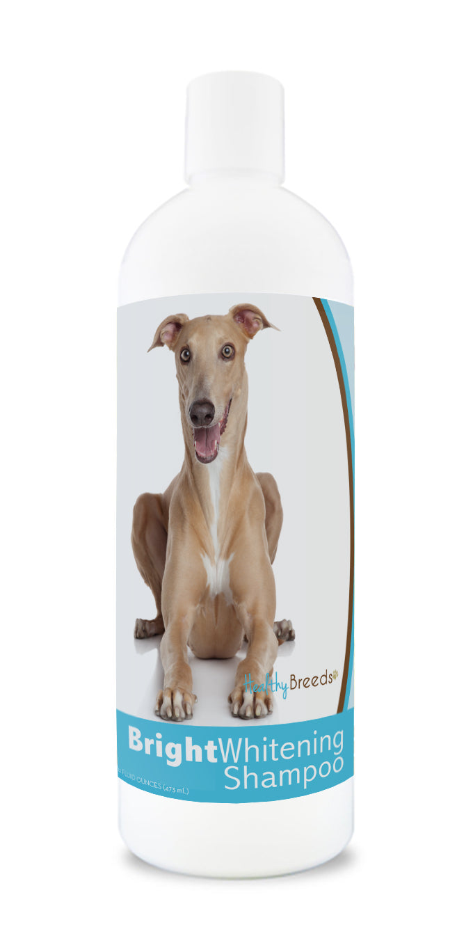 Italian Greyhound Bright Whitening Shampoo 12 oz