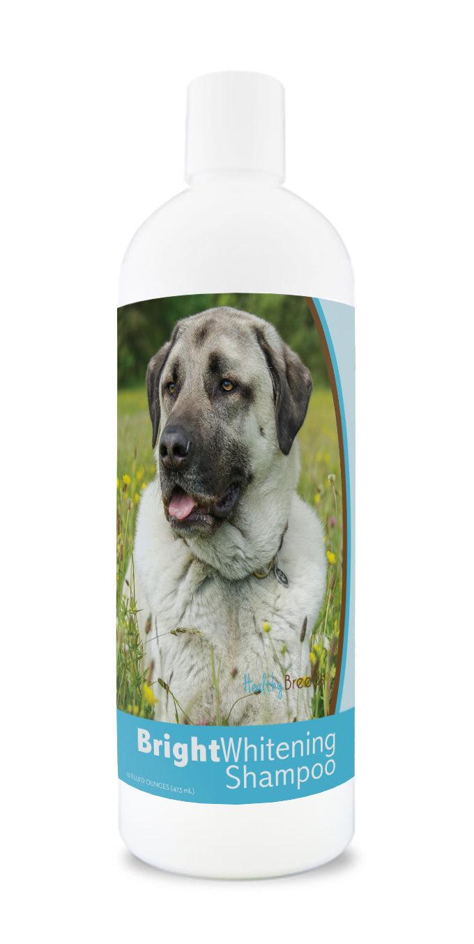 Anatolian Shepherd Dog Bright Whitening Shampoo 12 oz