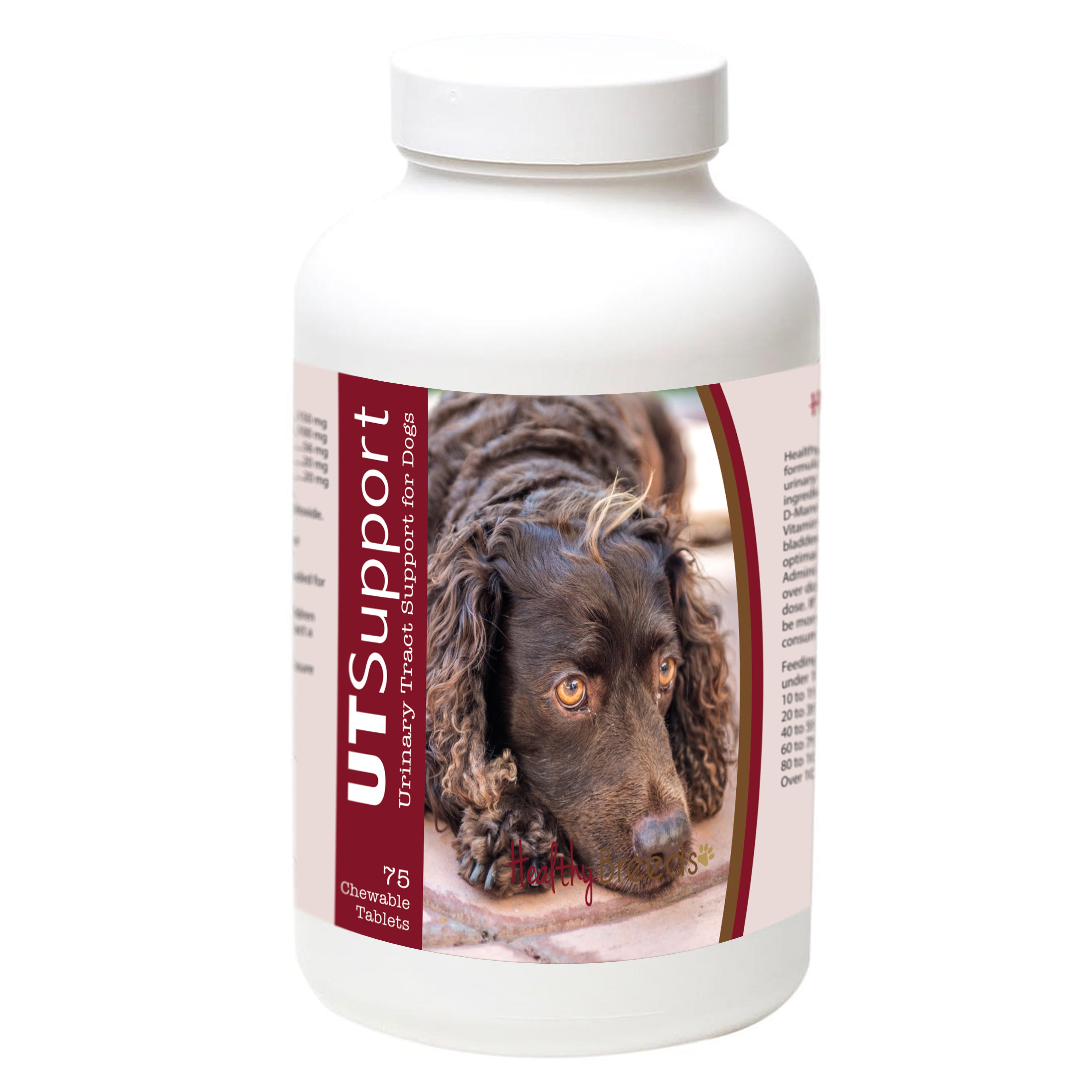 American Water Spaniel Cranberry Chewables 75 Count