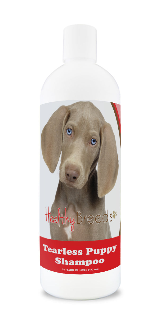 Weimaraner Tearless Puppy Dog Shampoo 16 oz