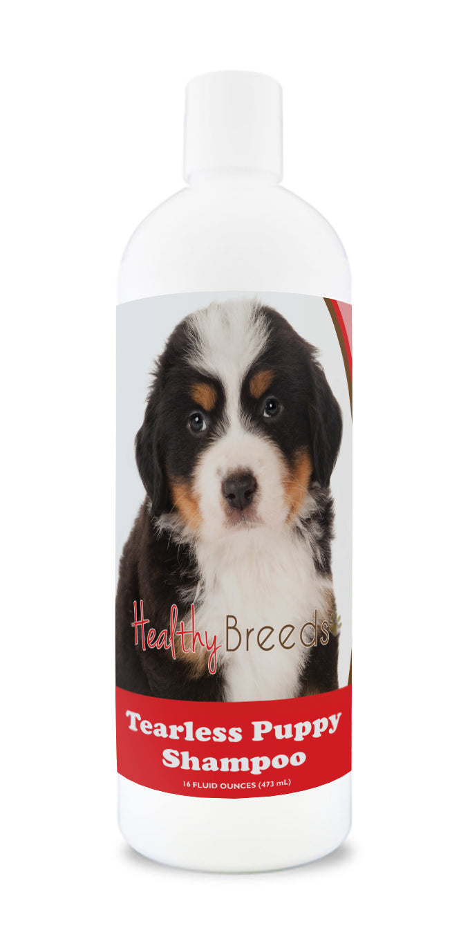Bernese Mountain Dog Tearless Puppy Dog Shampoo 16 oz