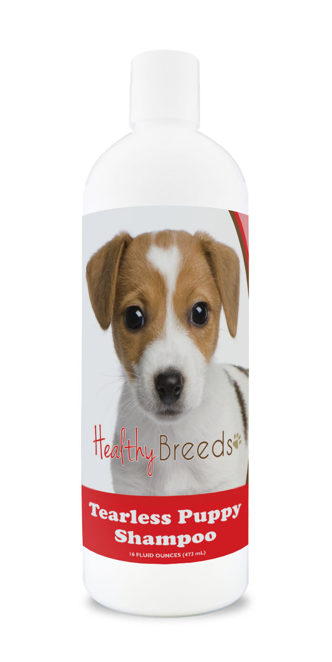 Jack Russell Terrier Tearless Puppy Dog Shampoo 16 oz