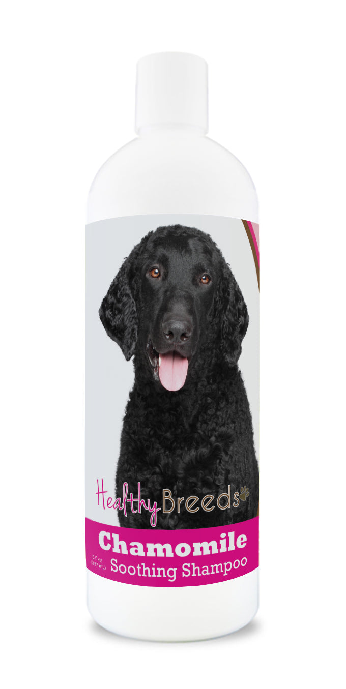 Curly-Coated Retriever Chamomile Soothing Dog Shampoo 8 oz