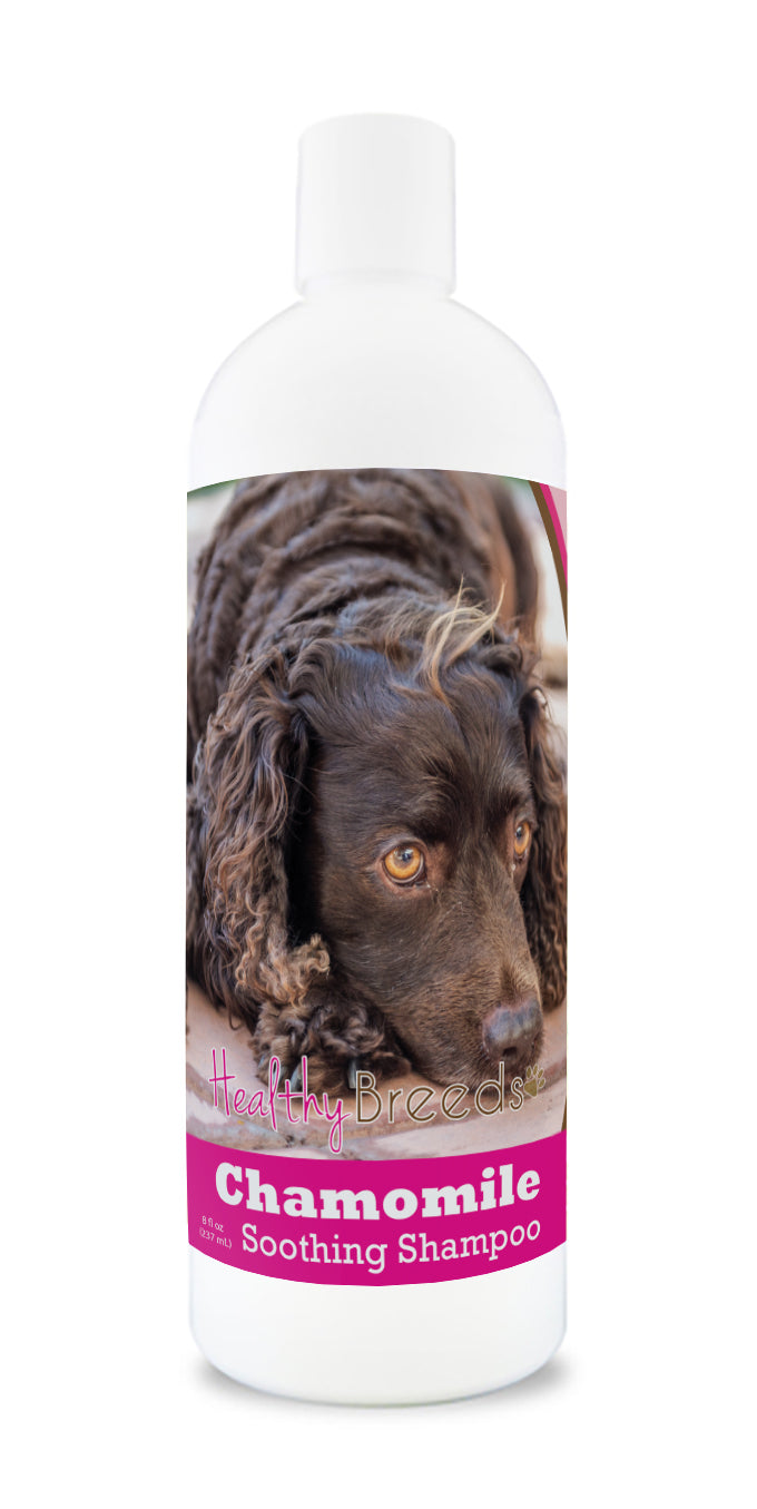 American Water Spaniel Chamomile Soothing Dog Shampoo 8 oz