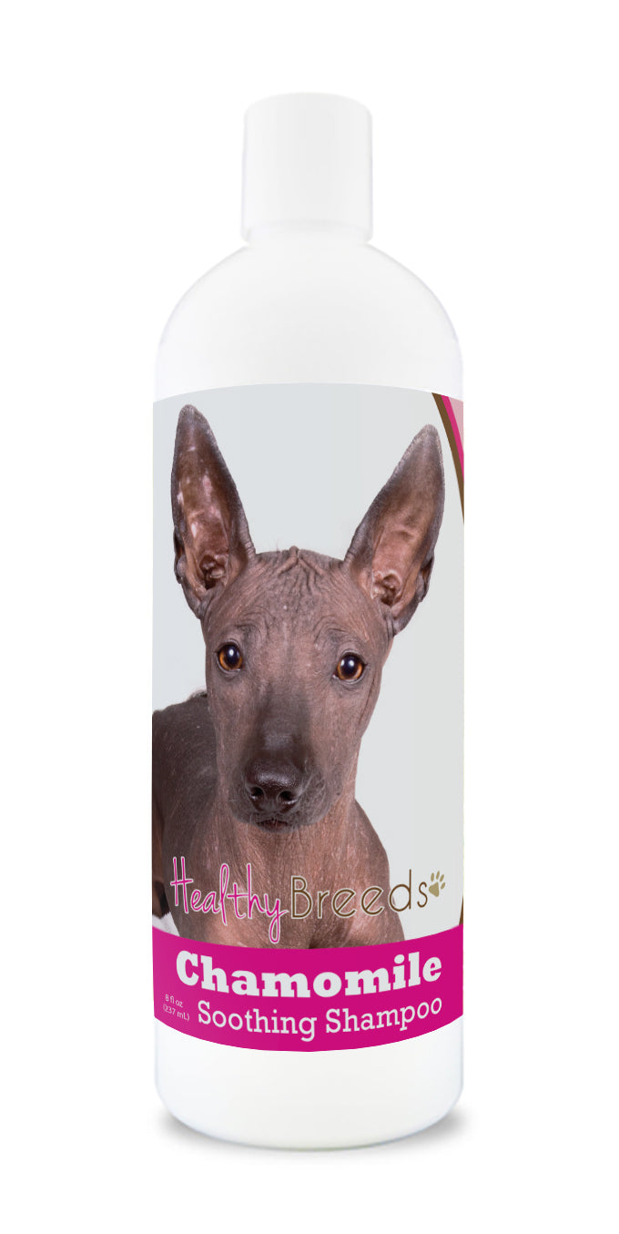 Xoloitzcuintli Chamomile Soothing Dog Shampoo 8 oz
