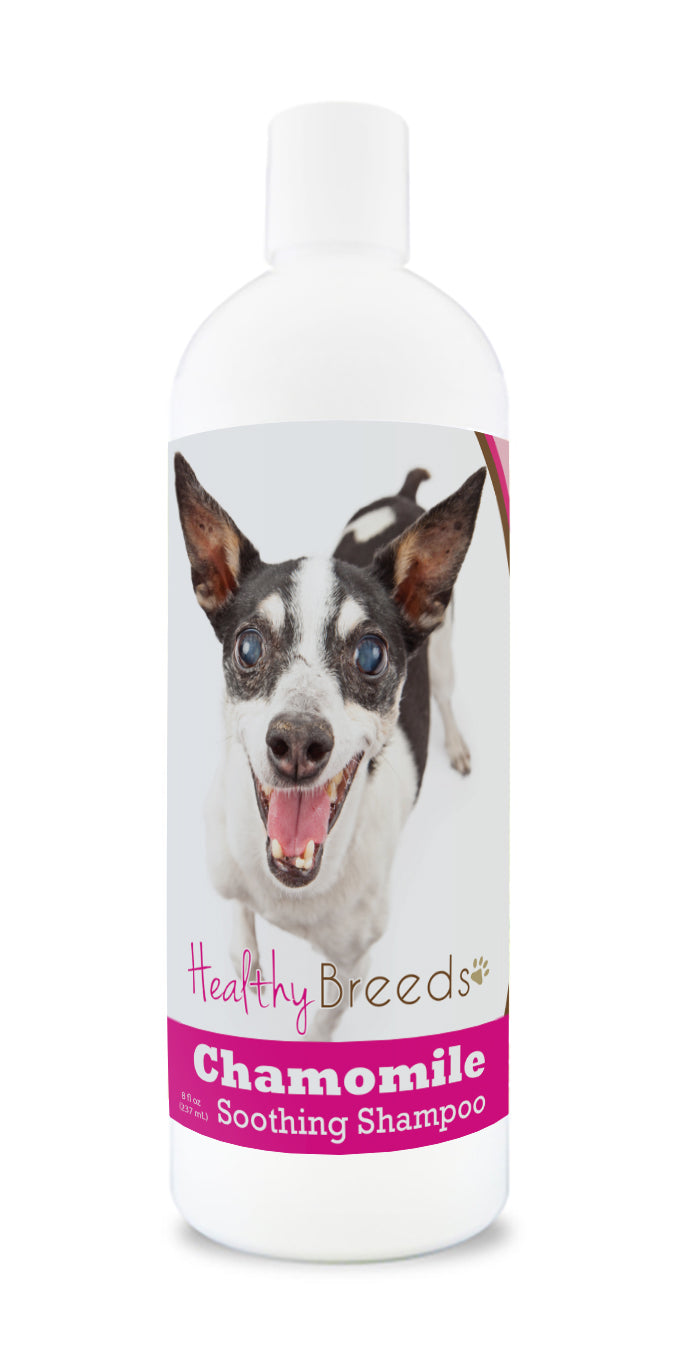 Rat Terrier Chamomile Soothing Dog Shampoo 8 oz