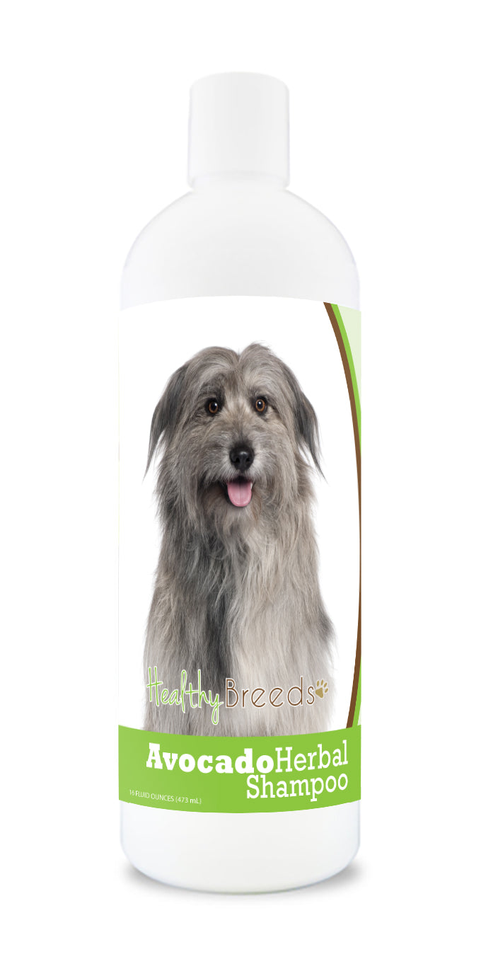 Pyrenean Shepherd Avocado Herbal Dog Shampoo 16 oz
