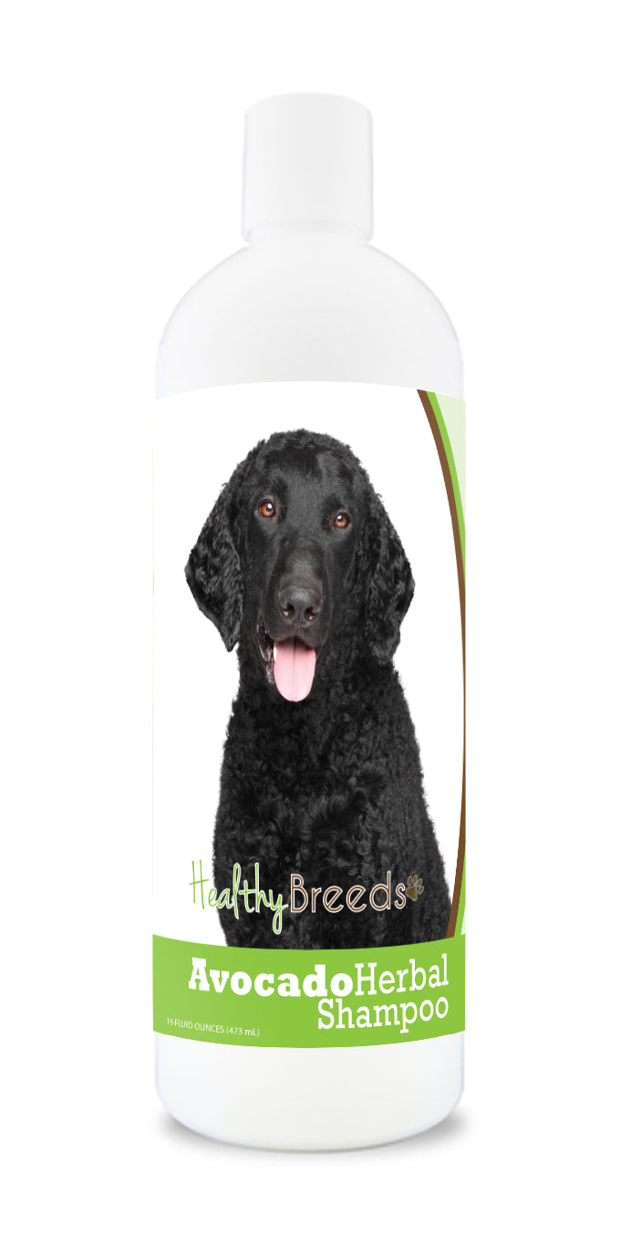 Curly-Coated Retriever Avocado Herbal Dog Shampoo 16 oz