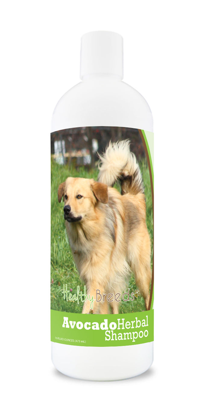 Chinook Avocado Herbal Dog Shampoo 16 oz