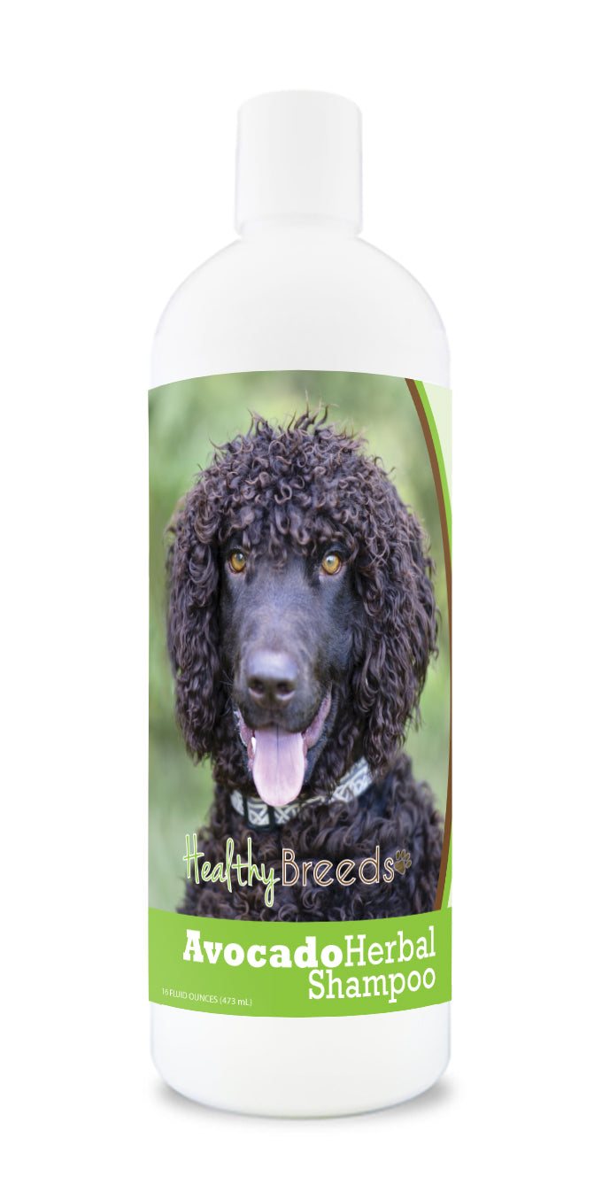 Irish Water Spaniel Avocado Herbal Dog Shampoo 16 oz
