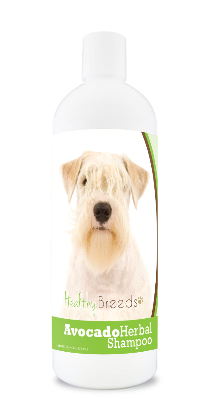 Sealyham Terrier Avocado Herbal Dog Shampoo 16 oz