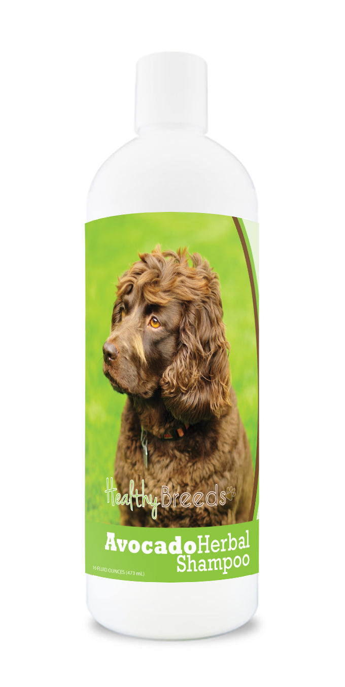 Boykin Spaniel Avocado Herbal Dog Shampoo 16 oz