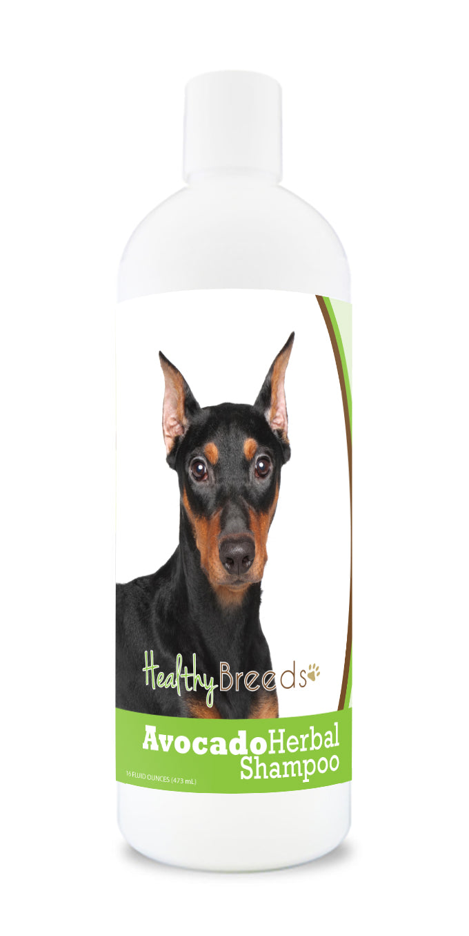 German Pinscher Avocado Herbal Dog Shampoo 16 oz