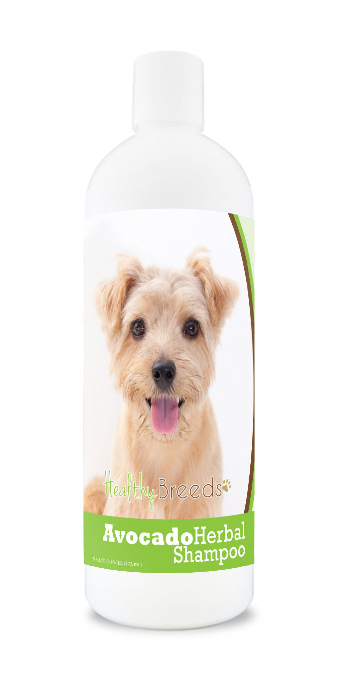 Norfolk Terrier Avocado Herbal Dog Shampoo 16 oz