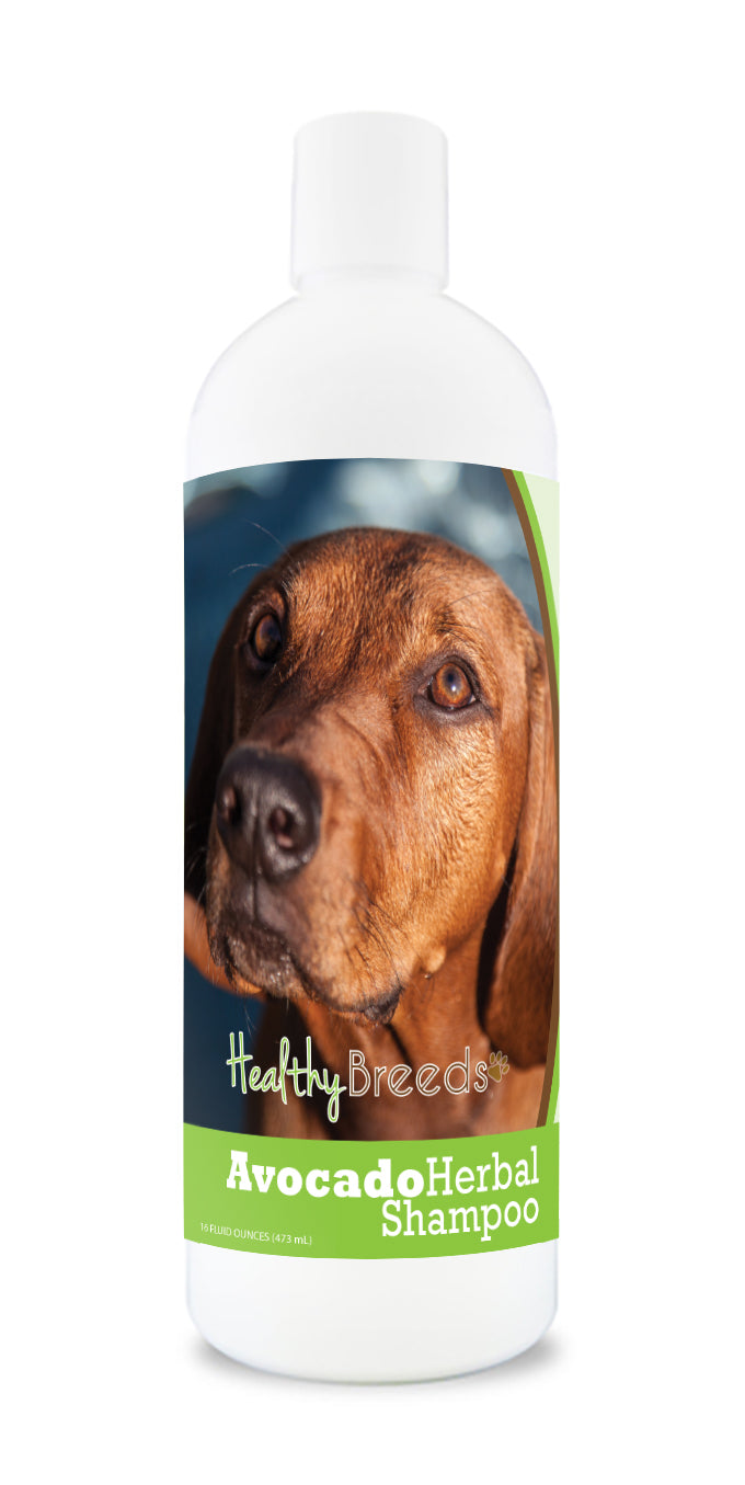 Redbone Coonhound Avocado Herbal Dog Shampoo 16 oz