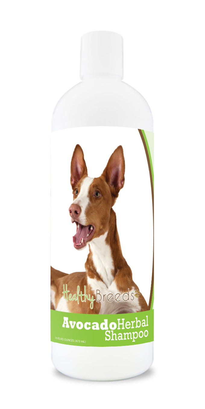 Ibizan Hound Avocado Herbal Dog Shampoo 16 oz