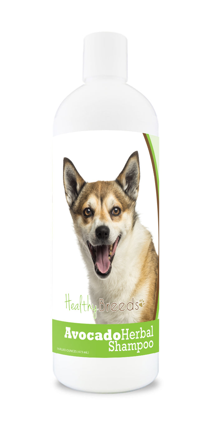 Norwegian Lundehund Avocado Herbal Dog Shampoo 16 oz