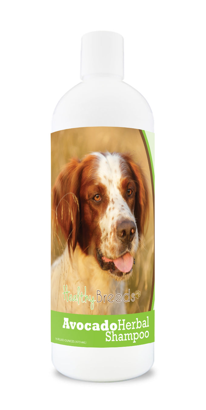 Irish Red and White Setter Avocado Herbal Dog Shampoo 16 oz