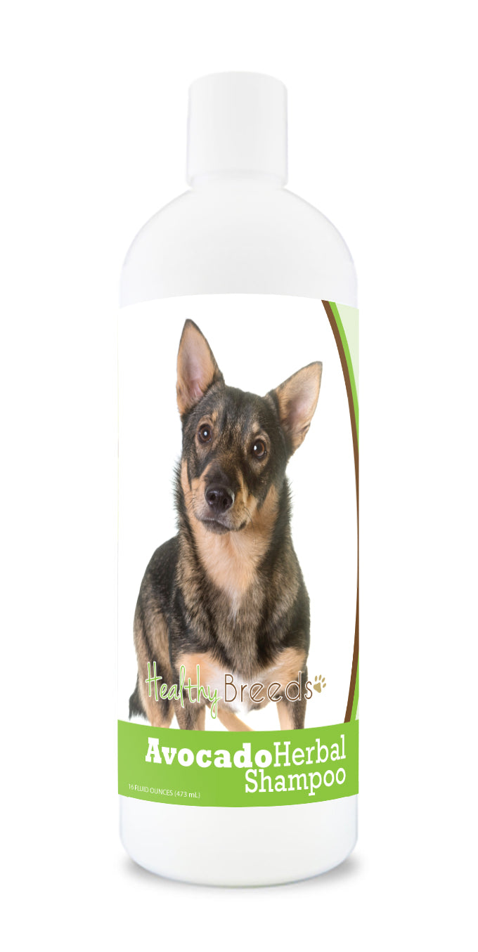 Swedish Vallhund Avocado Herbal Dog Shampoo 16 oz