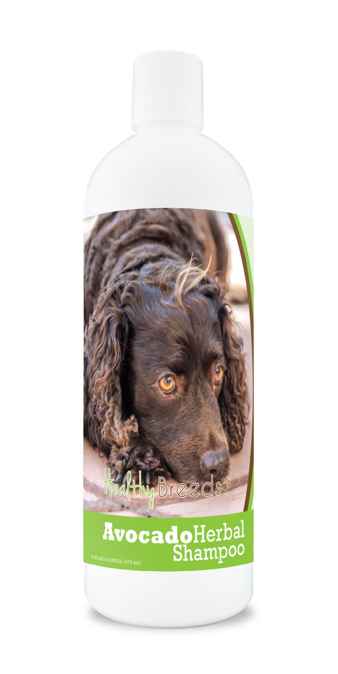 American Water Spaniel Avocado Herbal Dog Shampoo 16 oz