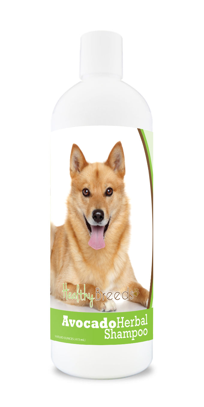 Finnish Spitz Avocado Herbal Dog Shampoo 16 oz