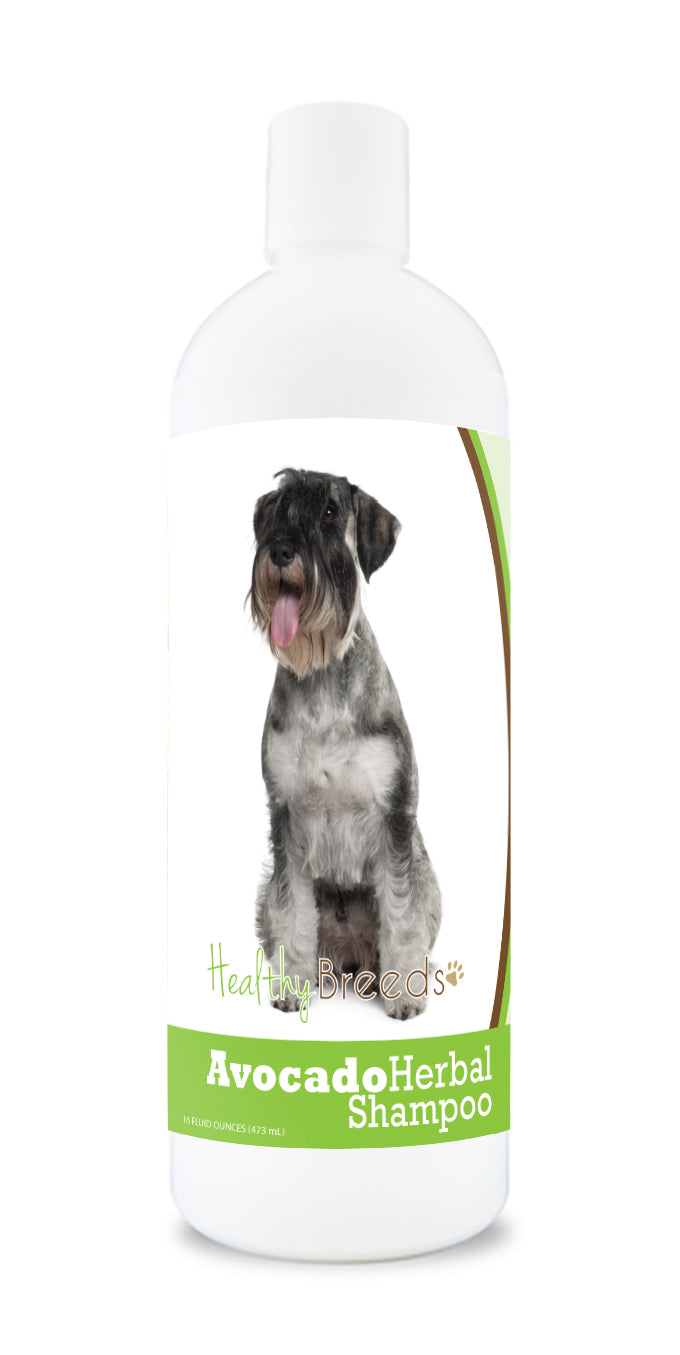 Standard Schnauzer Avocado Herbal Dog Shampoo 16 oz