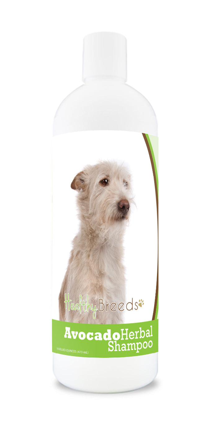 Portuguese Podengo Pequeno Avocado Herbal Dog Shampoo 16 oz