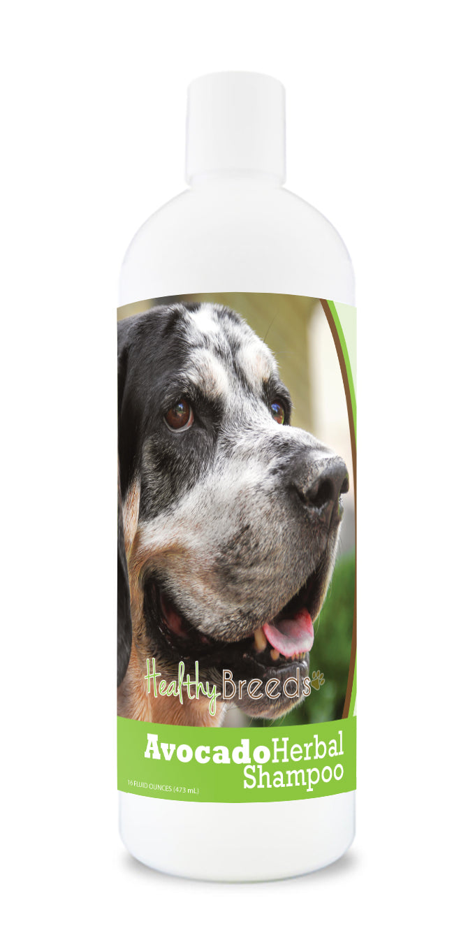 Bluetick Coonhound Avocado Herbal Dog Shampoo 16 oz