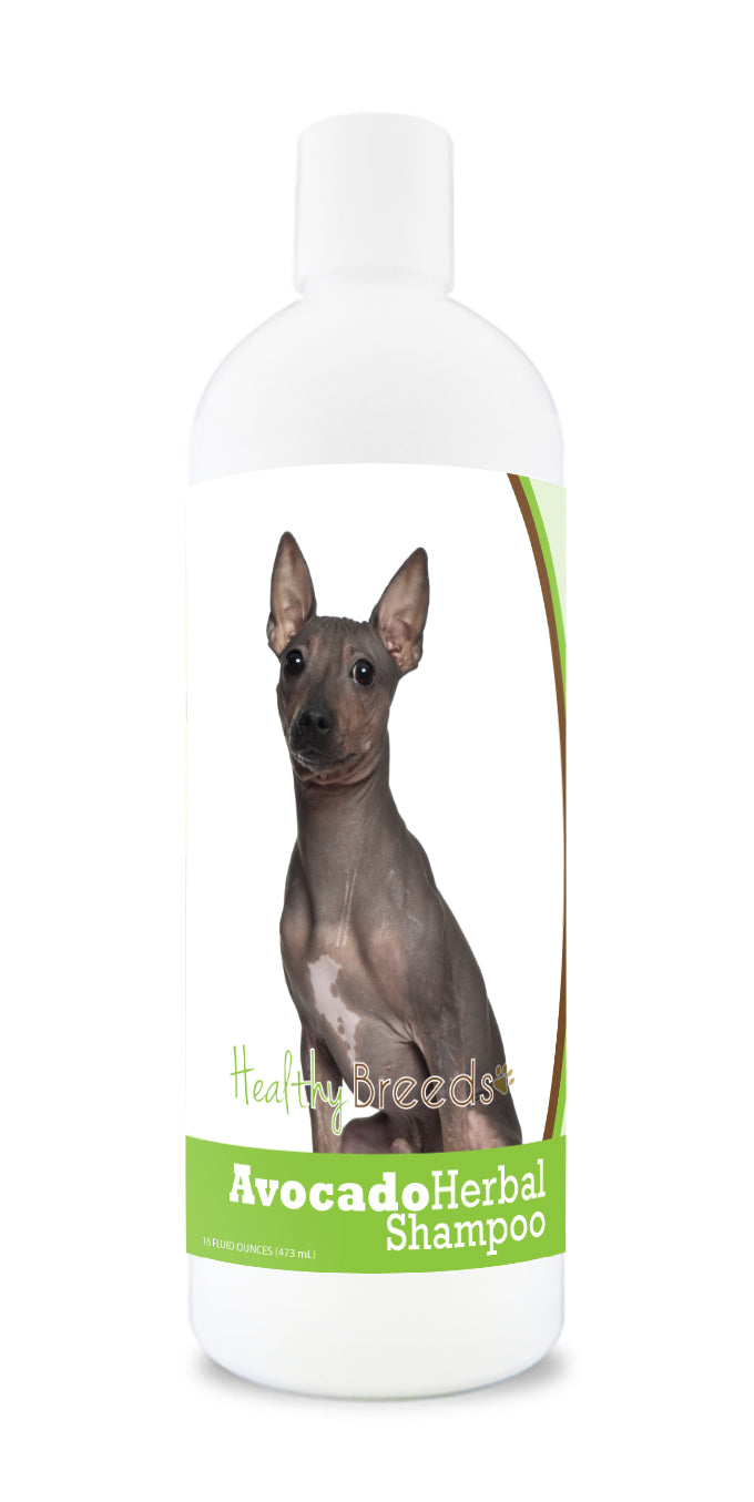 American Hairless Terrier Avocado Herbal Dog Shampoo 16 oz