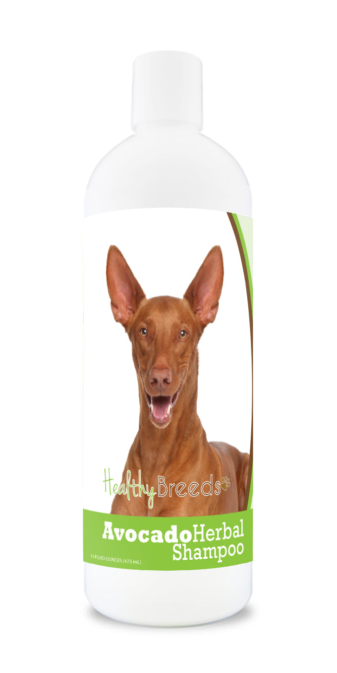 Pharaoh Hound Avocado Herbal Dog Shampoo 16 oz