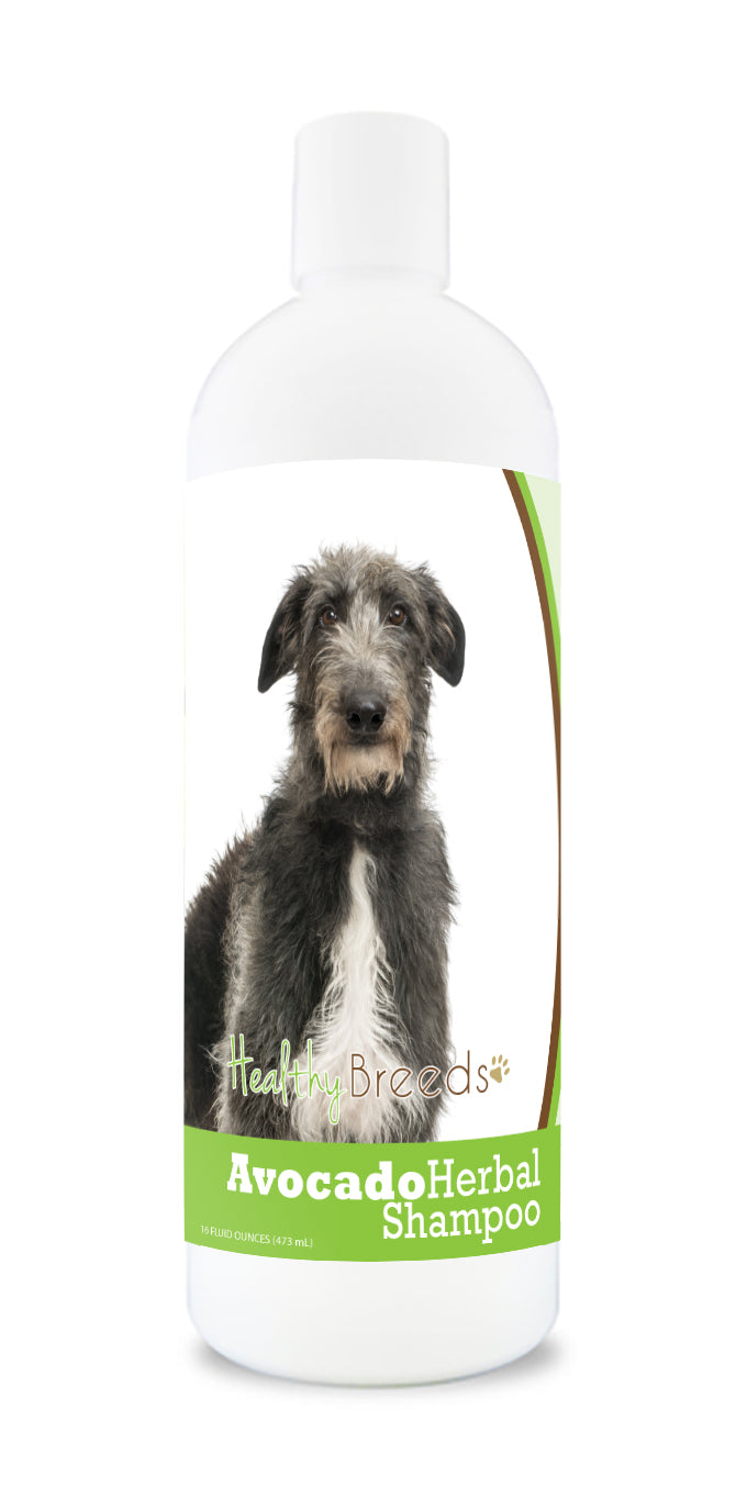 Scottish Deerhound Avocado Herbal Dog Shampoo 16 oz