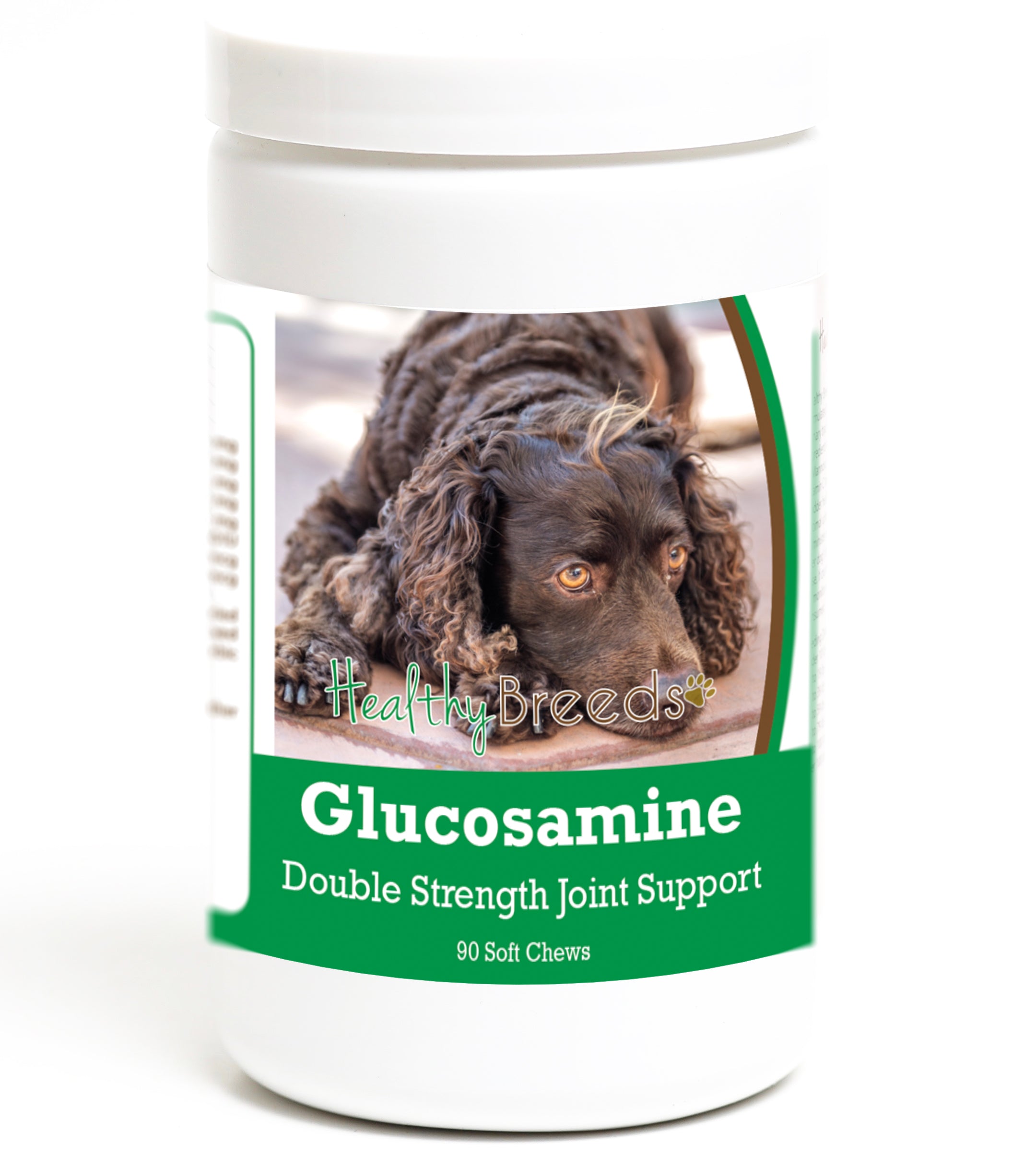 American Water Spaniel Glucosamine DS Plus MSM 90 Count