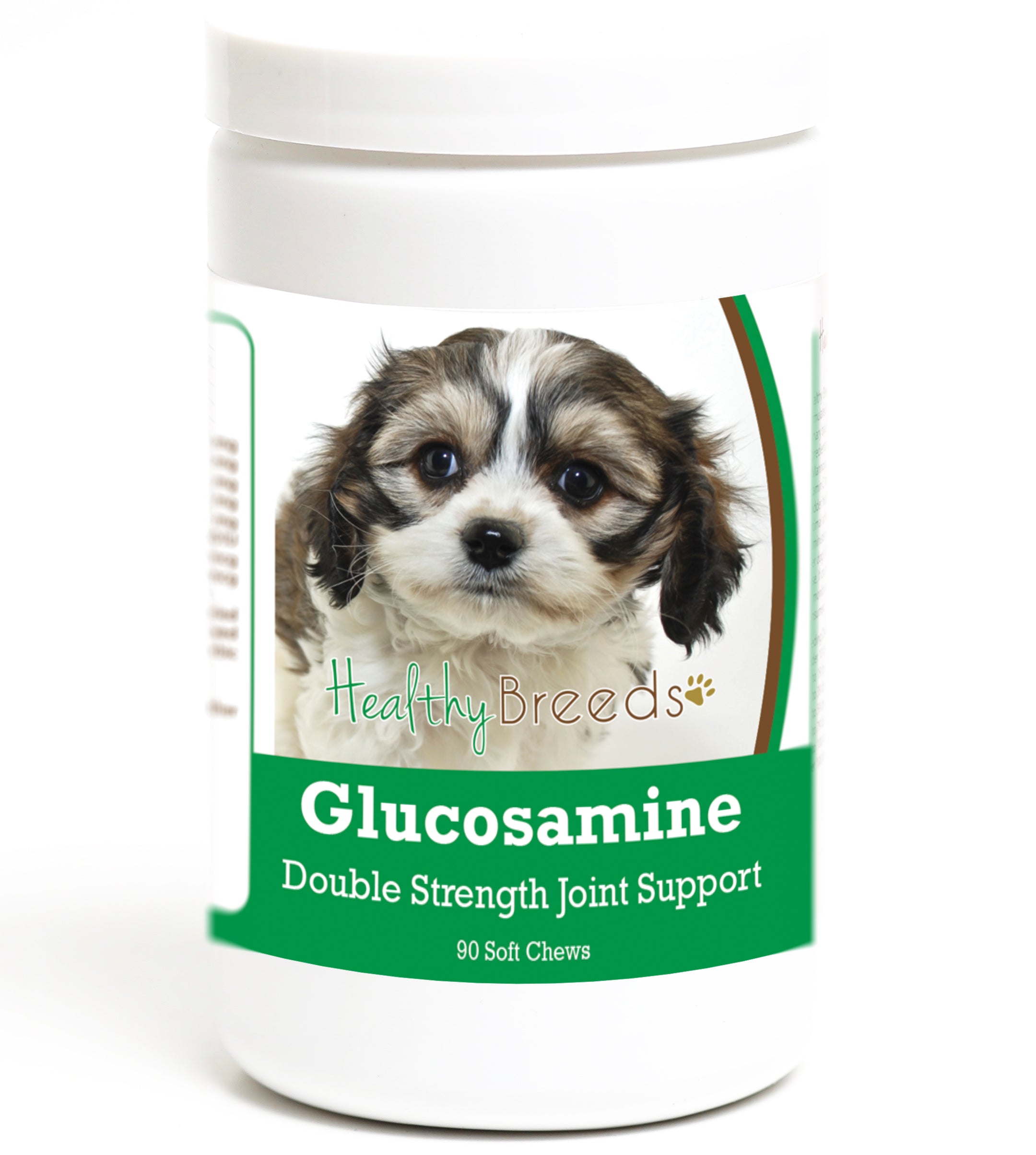 Cavachon Glucosamine DS Plus MSM 90 Count