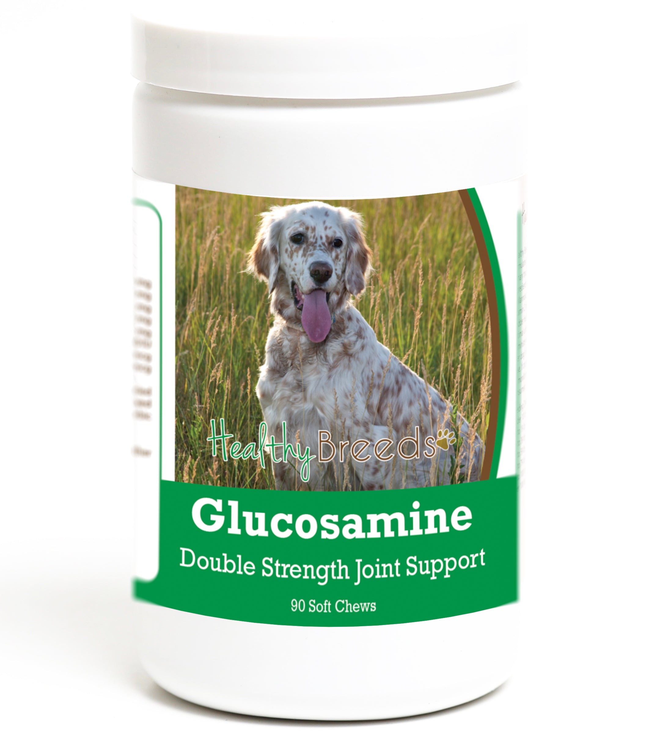 English Setter Glucosamine DS Plus MSM 90 Count