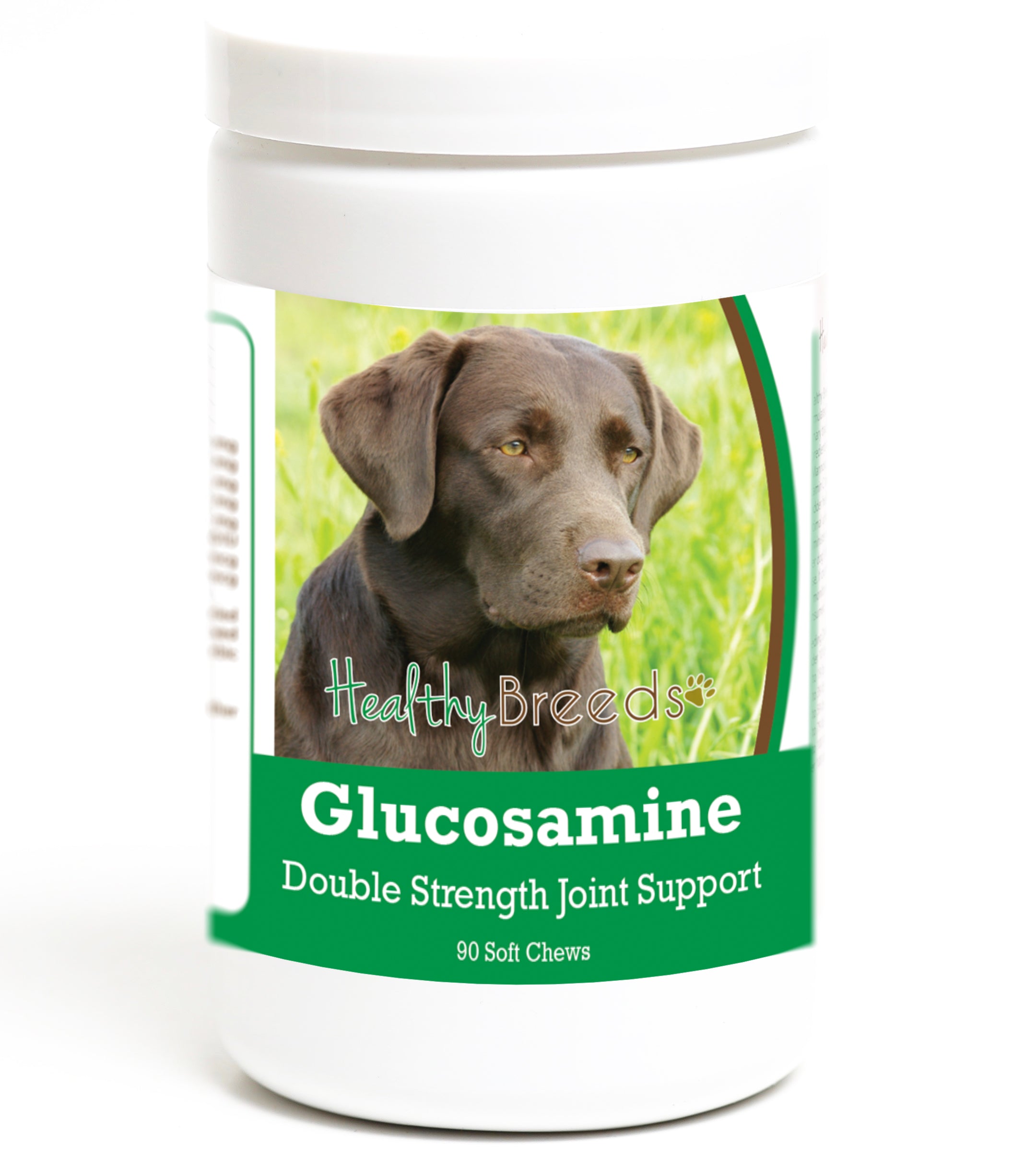 Labrador Retriever Glucosamine DS Plus MSM 90 Count