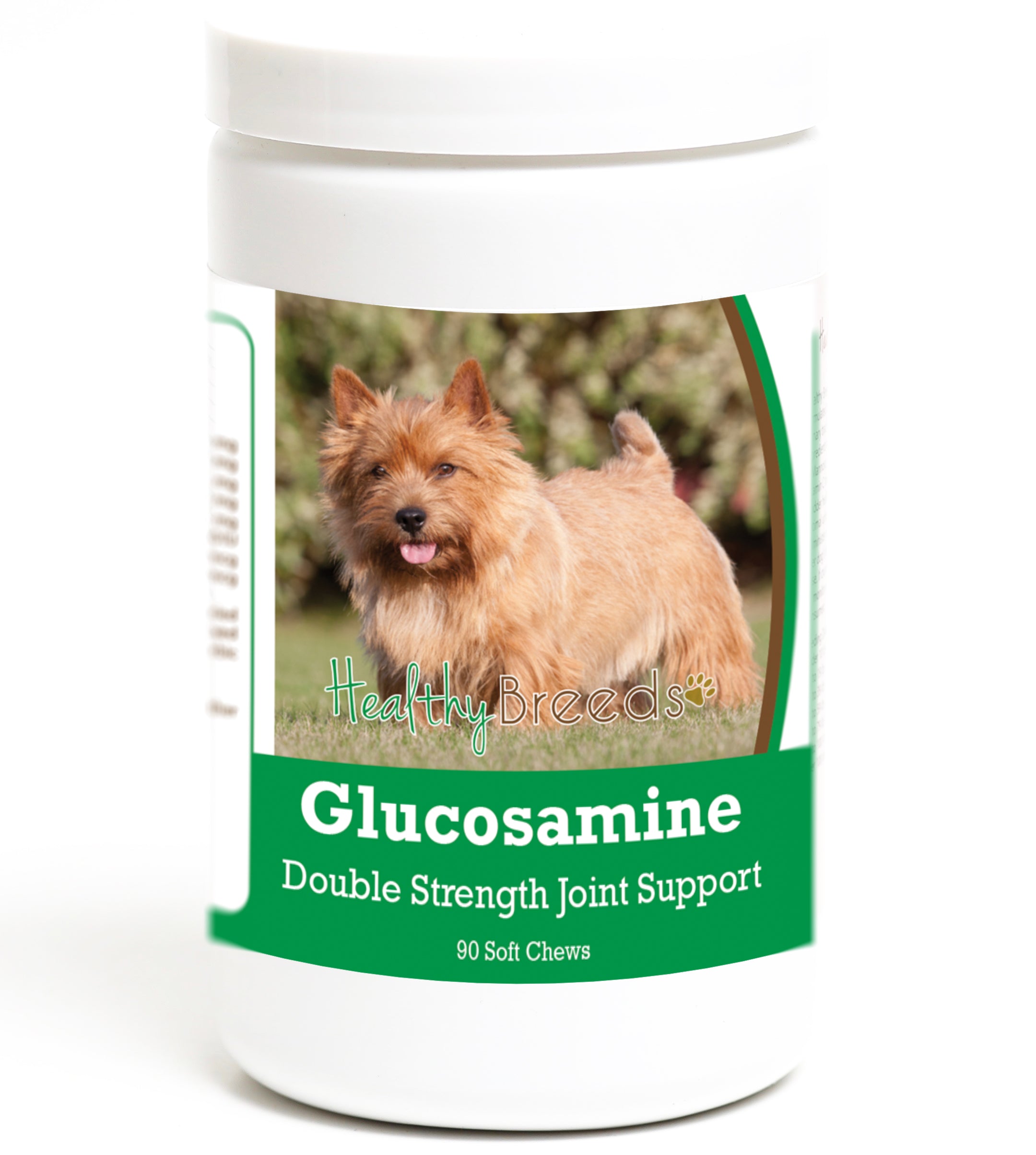 Norwich Terrier Glucosamine DS Plus MSM 90 Count