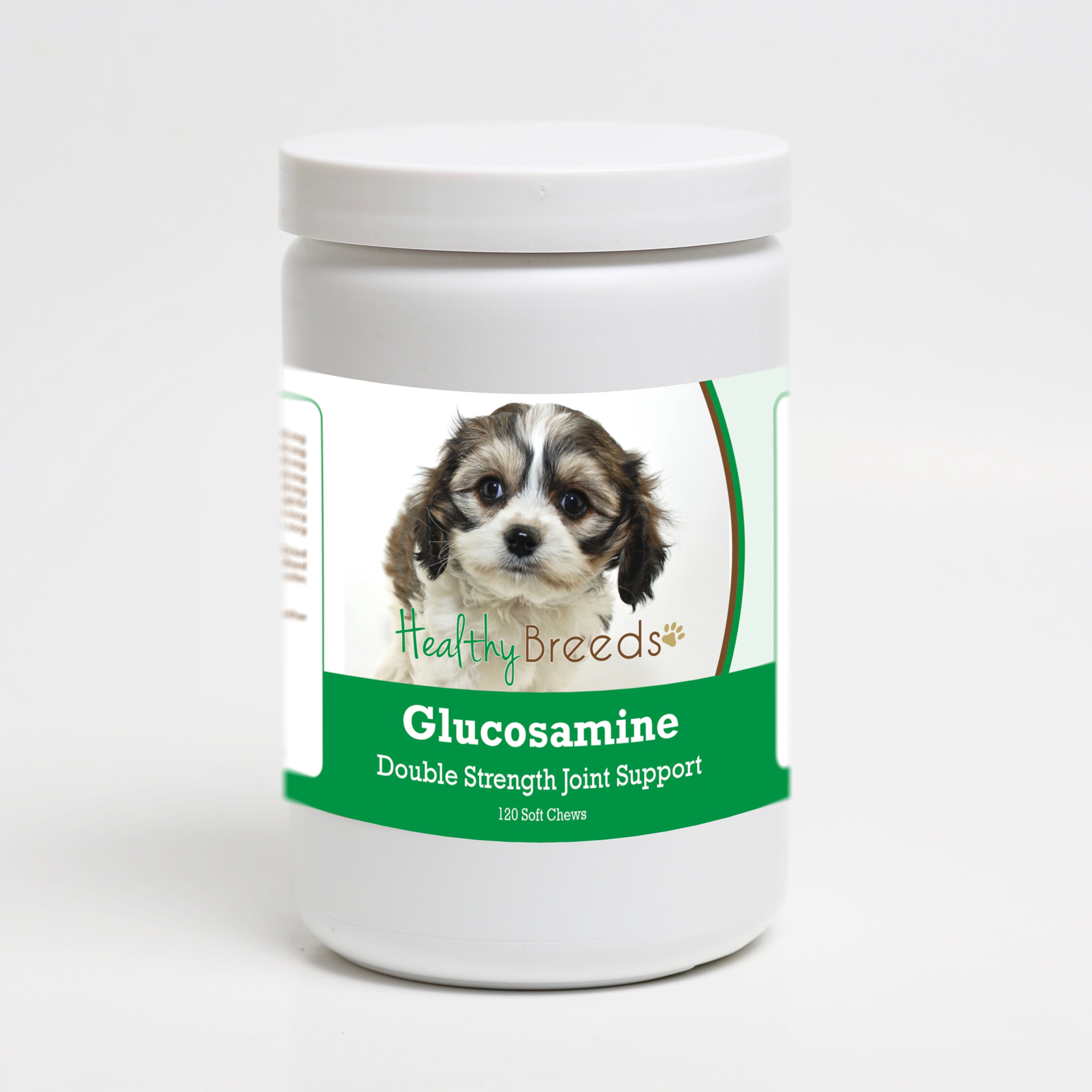 Cavachon Glucosamine DS Plus MSM 120 Count